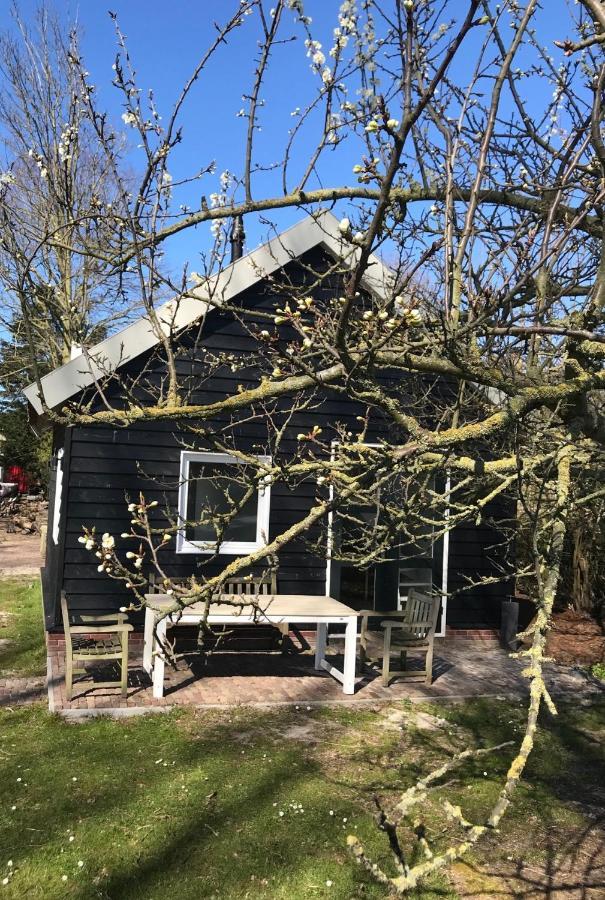 Ijsselmeer Lake Houses Andijk Exterior photo